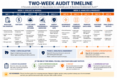 Figure 3.8   Two Week Audit Timeline