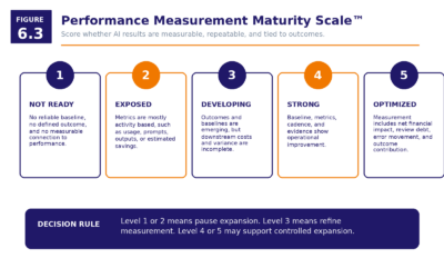 Figure 6.3   Performance Measurement Maturity Scale