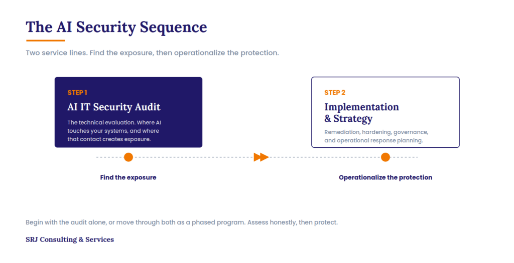 AI risk governance Services